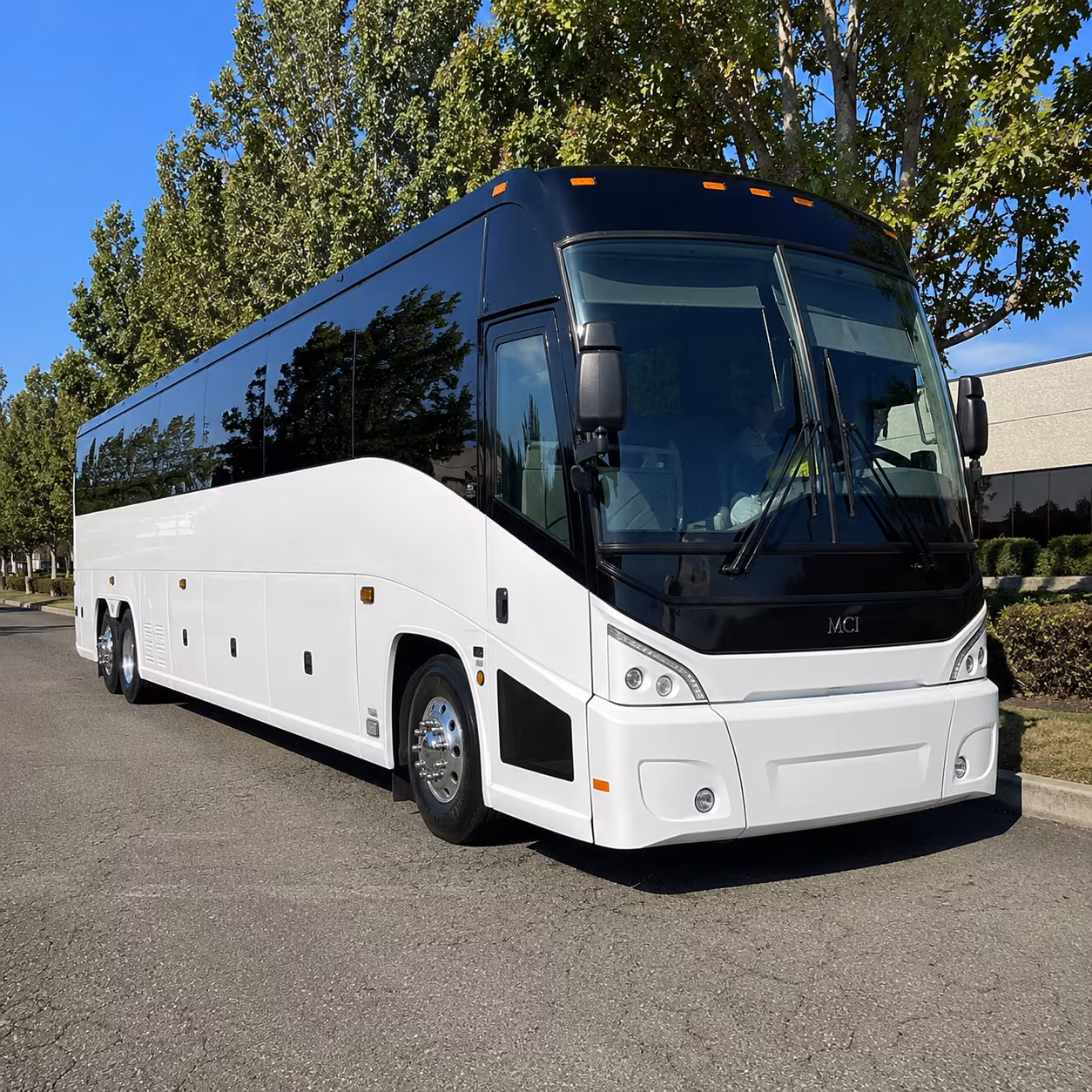 tuscaloosa 50 passenger charter bus